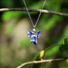 Iris Flower Jewellery