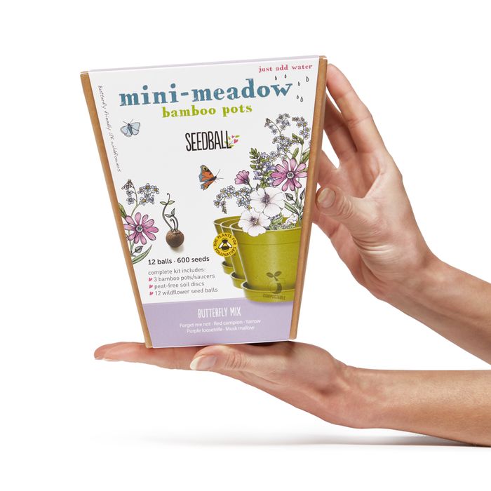 Mini-Meadow Bamboo Pots (Cost £9, RRP £20)