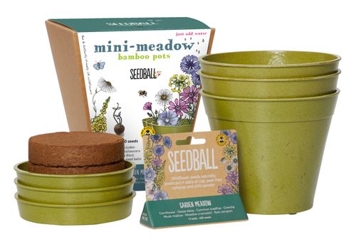 Mini-Meadow Bamboo Pots (Cost £8.50, RRP £20)