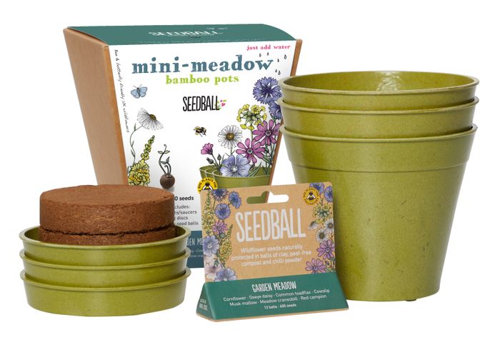 Mini-Meadow Bamboo Pots (Cost £9, RRP £20)