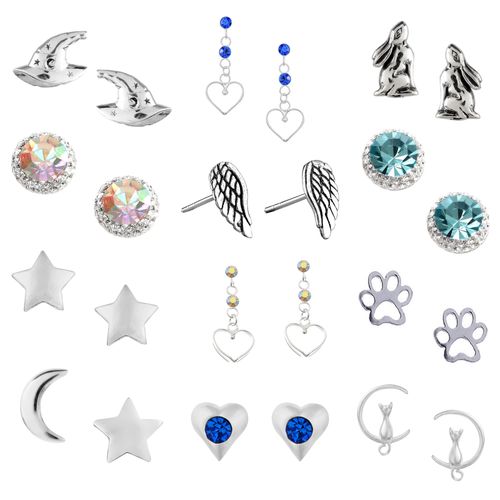 Stunning Collection of Silver Studs