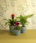 New for SS25 Ceramic Pots