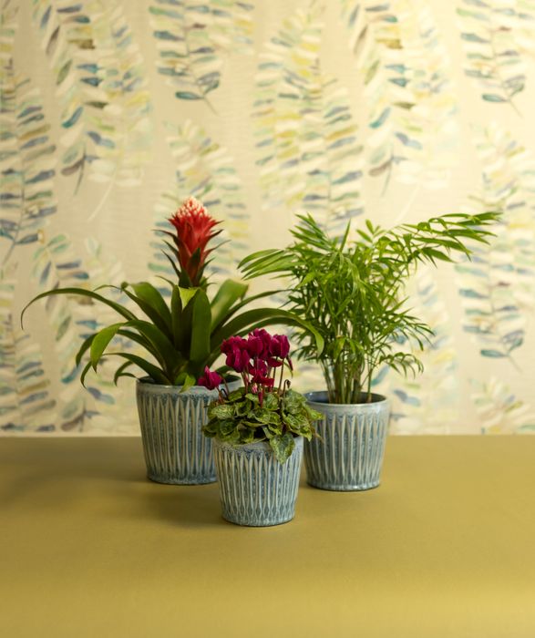 New for SS25 Ceramic Pots