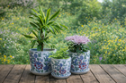 New for SS26 - Ceramic Planters & Pots
