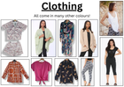 Ladies Clothing