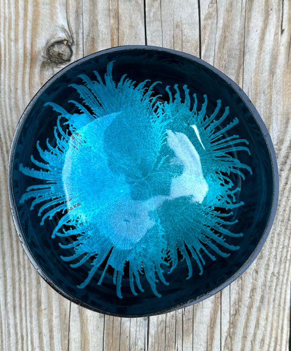Feather painted Lacquered Coconut Bowls