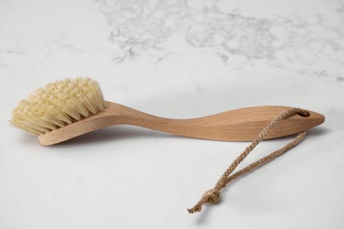 Dish Brush