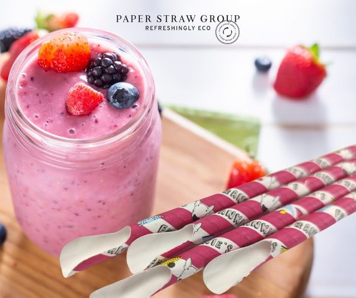 Paper Spoon Straws