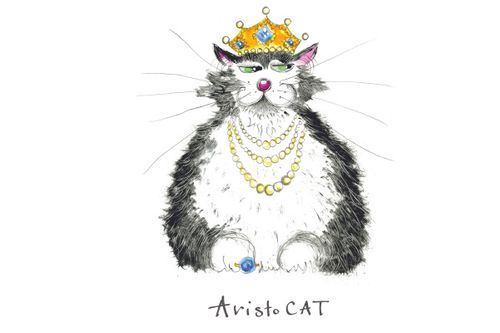 AristoCAT greeting card