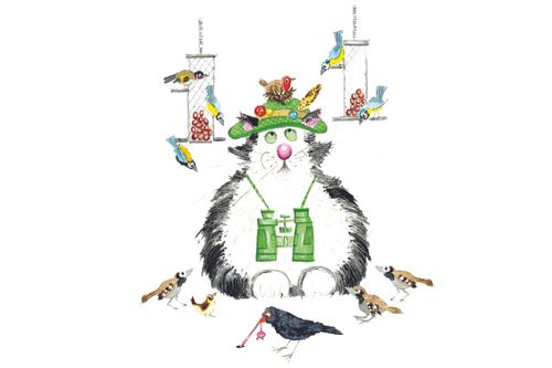 Birdwatching cat greeting card