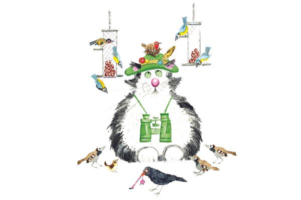Birdwatching cat greeting card