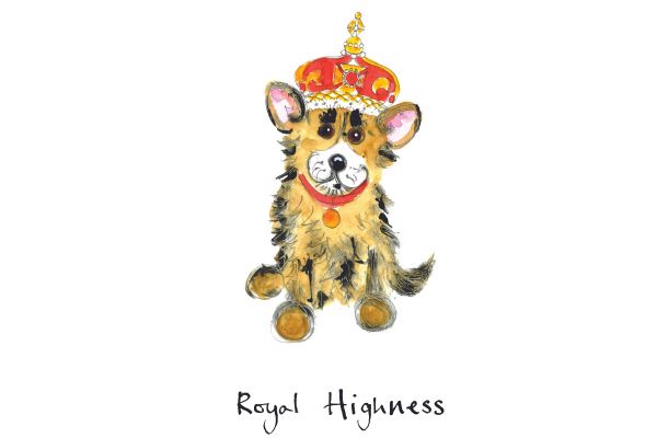 Royal Highness dog card