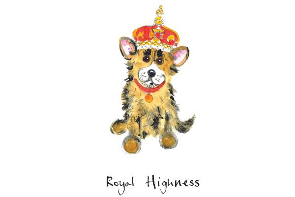 Royal Highness dog card
