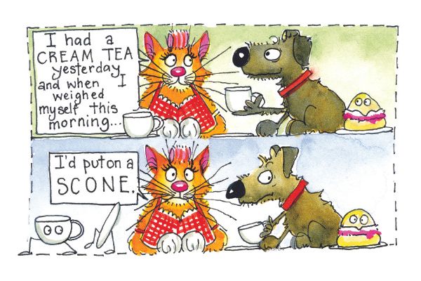 Cream tea greetings card
