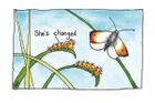 She's changed greetings card