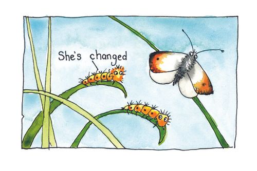 She's changed greetings card