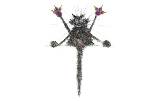 Spotless cat card