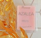 Azalea Scented Wax Melts