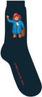 Paddington T-Shirts & Socks
