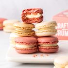 Master of the Macaron Kit