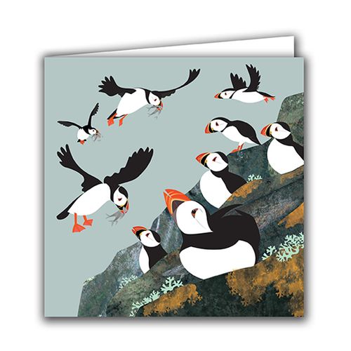 'Puffin Colony'