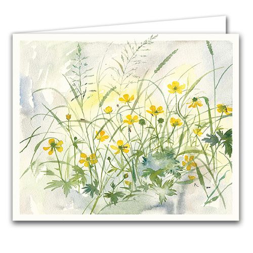 'Buttercups'