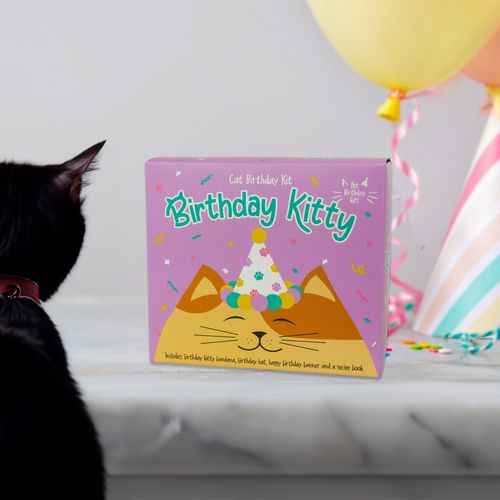 Cat Birthday Kit – Birthday Kitty