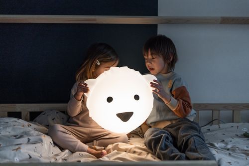 Interior & Wall Lights