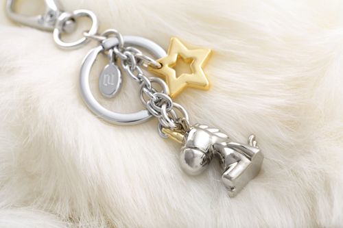 Multi-Charm Keyrings