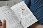 3D Bookmarks
