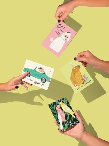 Darcie Olley Collection