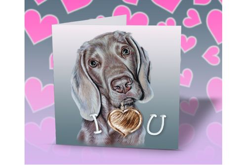 Weimaraner Valentines Day