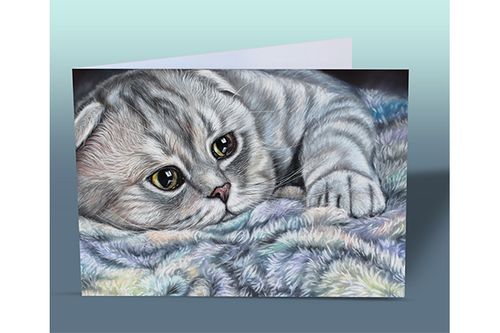 Scottish Fold Card