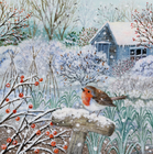 Winter Garden Robin