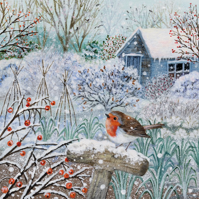 Winter Garden Robin