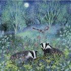 Summer Badgers