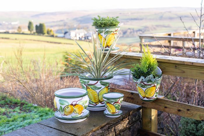 Outdoor Pots