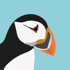 New Birds: Puffins