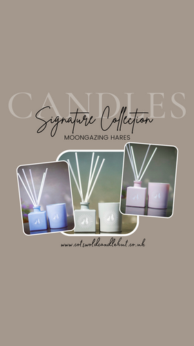 Moongazing Hares Signature Collection