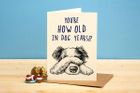 How Old in Dog Years Birthday Card
