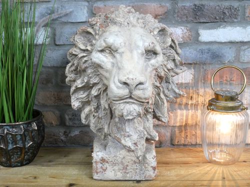 Lion Head (SN9472)