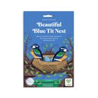 Create Your Own Beautiful Blue Tit Nest