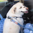 Pet Travel Collections