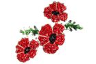 Poppies