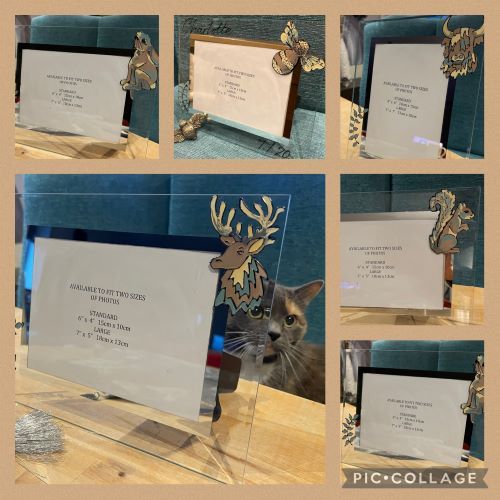 Wildlife Photo Frames and Wine Glasses