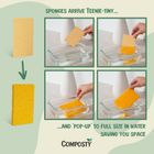 Composty® | Magic 'Pop-Up' Eco Sponges | Compostable | Sustainable | Plastic Free