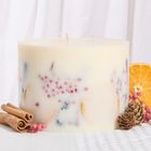 Christmas Time Grand Luxury Botanical Candle - Orange, Cinnamon and Clove