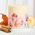 Spiced Apple Medium Luxury Botanical Candle - Apple, Cinnamon and Nutmeg