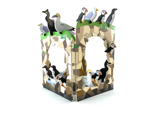 RSPB Caostal Birds