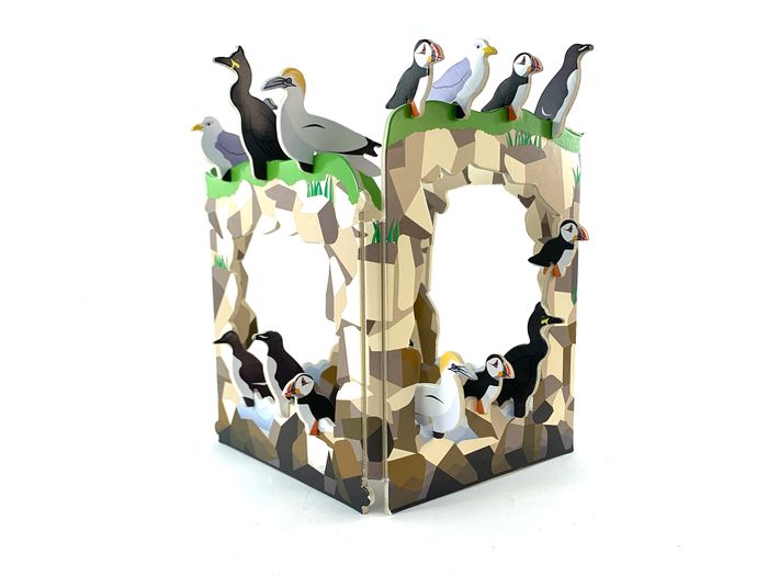 RSPB Caostal Birds